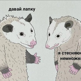 Telegram profile photo for Мемы, которые я сохраняю для неё