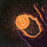 Telegram profile photo for Cryptonomer