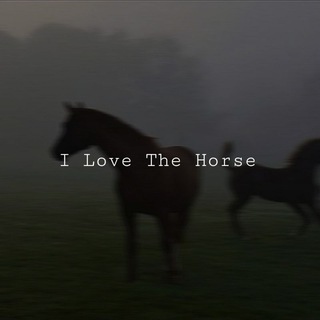 Telegram profile photo for I Love The Horse