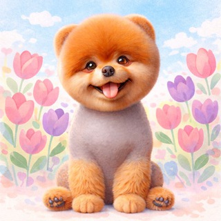 Telegram profile photo for ALOPECIA