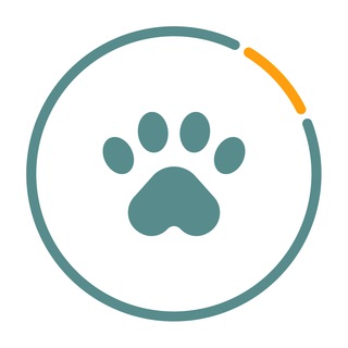 Telegram profile photo for Linkpet