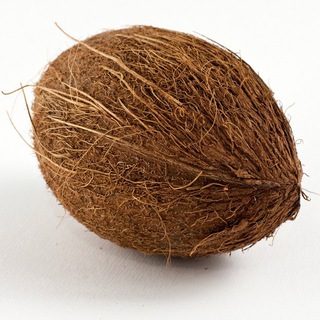 Telegram profile photo for CoolCoconut Tips