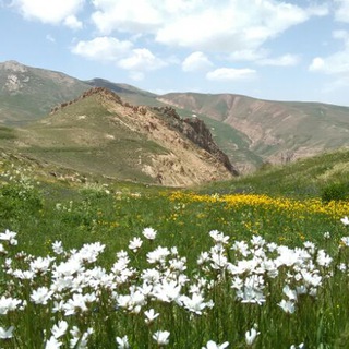 Telegram profile photo for کوه کمر