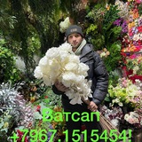 Telegram profile photo for Умаров Парвиз
