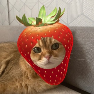 Telegram profile photo for ягодное безобразие