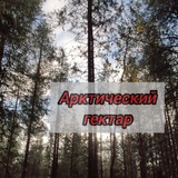 Telegram profile photo for Арктический гектар