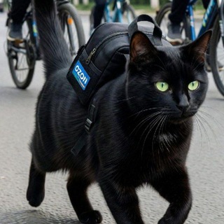 Telegram profile photo for NekoHub