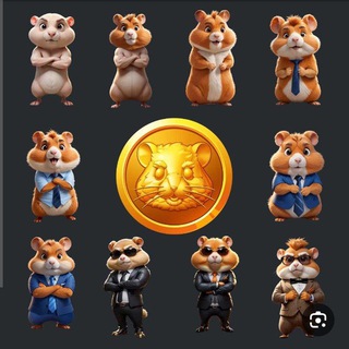Telegram profile photo for کانال ایردراپ hamester kombat