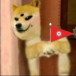 Telegram profile photo for Cheems, चीमंटू द शायर 👌
