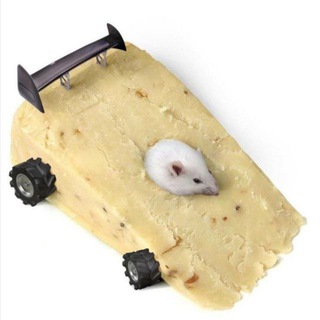 Telegram profile photo for у мышки едет крышка
