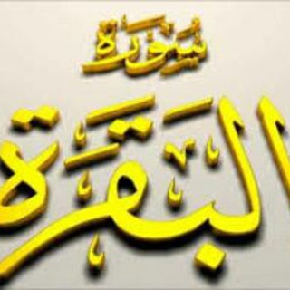 Telegram profile photo for سورة البقرة (مقسمة صفحات)