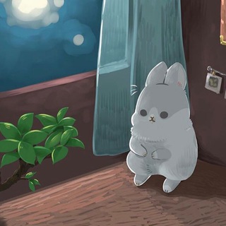 Telegram profile photo for Envy no nichijou 🇯🇵⛄️🍵