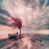 Telegram profile photo for شب های عاشقانه❤