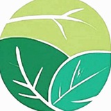 Telegram profile photo for Environmental Science (NET, GATE, SET, CUET, NTPC, CPCB, RSPCB etc): TES Academy