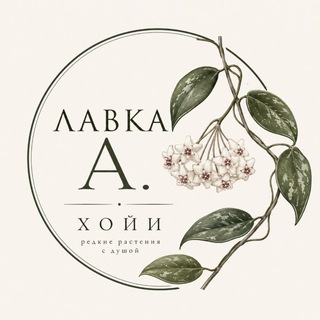 Telegram profile photo for Хойи_Москва🪴