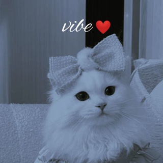 Telegram profile photo for π€