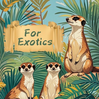 Telegram profile photo for FOREXOTICS
