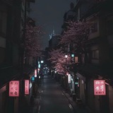 Telegram profile photo for XXUPE FOLDERS