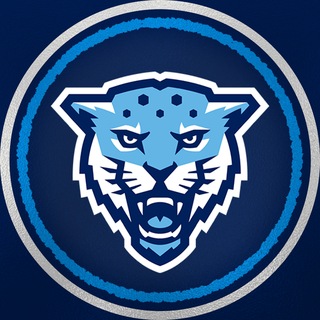 Telegram profile photo for KRONBASKET