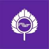 Telegram profile photo for Канал Бизнес-клуб Кольцово