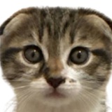 Telegram profile photo for gendoziq hеgr