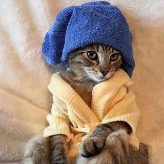 Telegram profile photo for این کانال شعبهی دیگری ندارد (شعبه تلگرام)