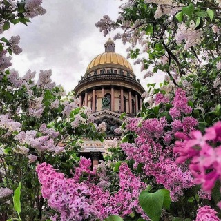 Telegram profile photo for Экскурсионные туры по миру