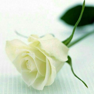 Telegram profile photo for مرکز پزشکی رز سفید
