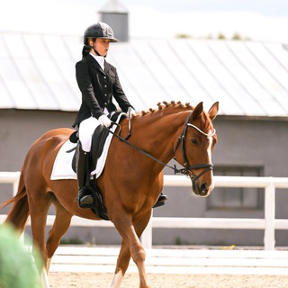 Telegram profile photo for SP_Dressage 🧡