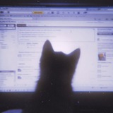 Telegram profile photo for ``ūнфô çäнтøк
