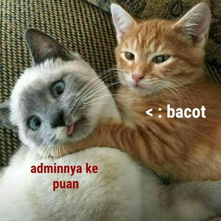 Telegram profile photo for aku sayang sekali jabatus ๐นโ