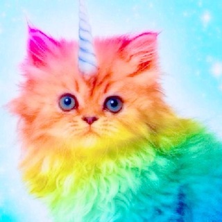Telegram profile photo for аквариум Акси