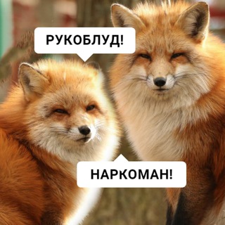 Telegram profile photo for Лисы осудят_юмор