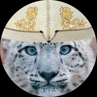 Telegram profile photo for алматинский щитпост 2.0