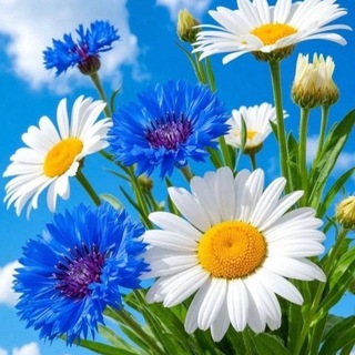 Telegram profile photo for 🌼Тихий уголок моей души...🌼