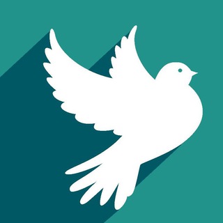 Telegram profile photo for Антивойна | Виктория Шилова