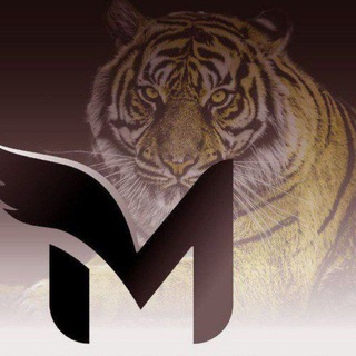 Telegram profile photo for Malik Bhai