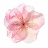 Telegram profile photo for π₯ππππππ β π ππ¦π