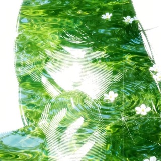 Telegram profile photo for Top Stack Lime