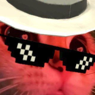 Telegram profile photo for 𝕄𝔸ℝ𝕂 𝔹𝕌ℕℕ𝕐