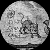 Telegram profile photo for Nature