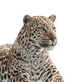 Telegram profile photo for ...Hope...