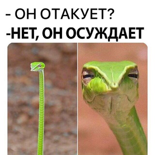 Telegram profile photo for змеиное логовце🐍