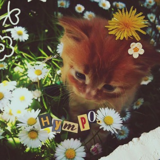 Telegram profile photo for кружок рукоделия нутро.