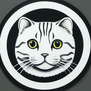 Telegram profile photo for Новости США Мяу-Шеф Шеф-Мяу Приключения Кота Повара Коты Котята Кошки США