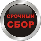 Telegram profile photo for Два мажора