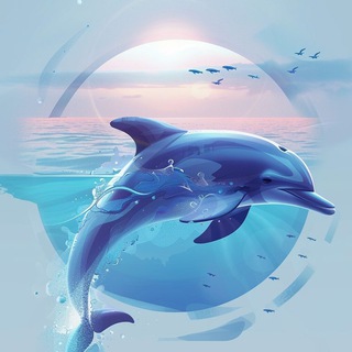 Telegram profile photo for 海豚机场测评|用户侧体验|测速频道