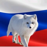 Telegram profile photo for Я Вам Пришёл