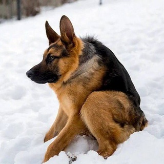 Telegram profile photo for Одеський пездюк | Одеса 🇺🇦
