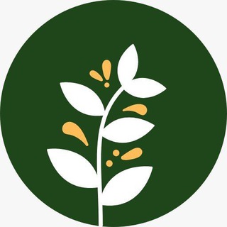 Telegram profile photo for 法情学堂-课程通知